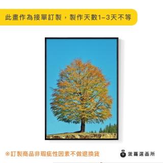 【菠蘿選畫所】秋‧晴空樹映-50x70cm(大樹/自然/園藝/民宿/咖啡廳/工作室/送禮/佈置)