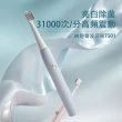 【ENCHEN映趣台灣總代理】買一送一 T501電動聲波牙刷 IPX7防水(一藍一粉牙刷組再加送替換刷頭)
