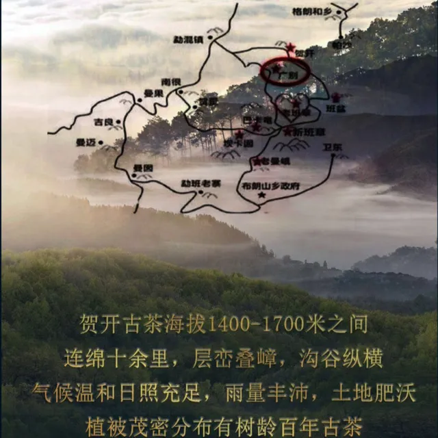 【盛嘉源】2020 賀開(普洱茶   生茶 357g)