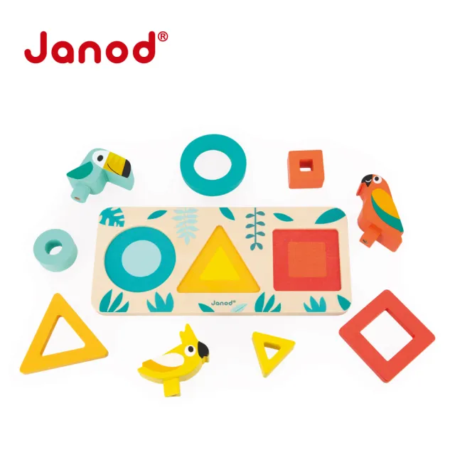 【法國Janod】雨林大冒險-大嘴鳥形色辨認