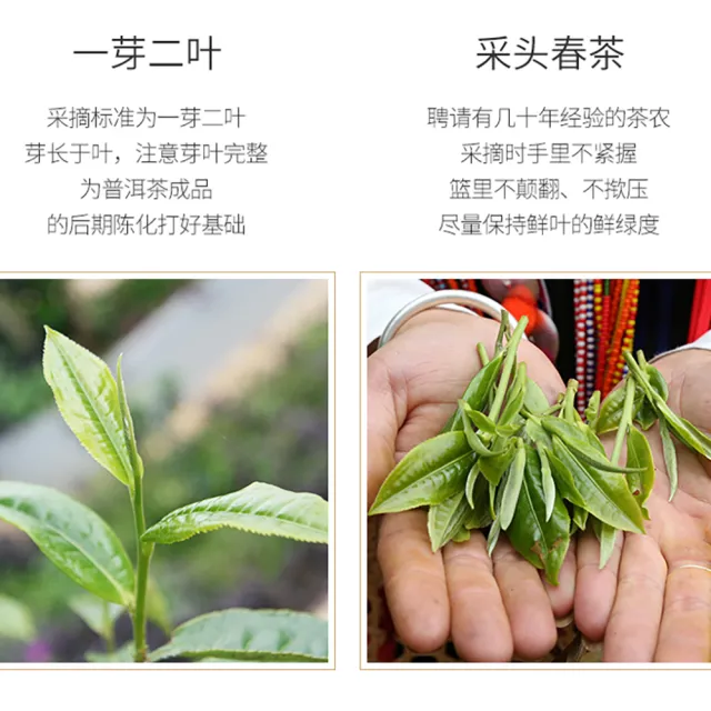 【盛嘉源】陳升號 2014 陳香升華(普洱茶   生茶 357g)