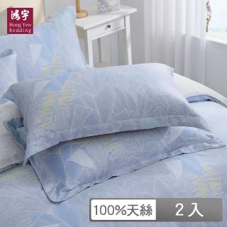 【HongYew 鴻宇】60支100%天絲 歐式壓框薄枕套-艾斯本(2入)