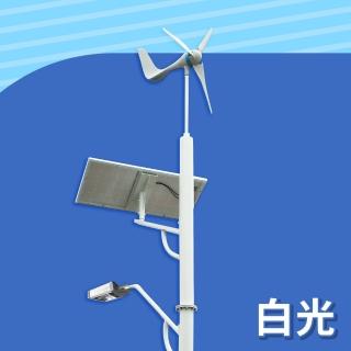 【DIGISINE】風光互補智慧路燈-12V系統/2000流明/白光 DS-001(太陽能發電/風力發電機/戶外照明路燈)