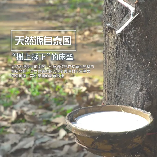 【ISHUR 伊舒爾】厚度2.5公分 兒童乳膠床墊 60x120cm(嬰兒床墊/嬰兒床尺寸/乳膠墊/附專用收納袋)