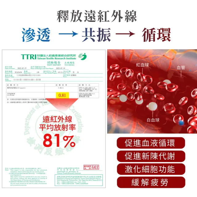 【LooCa】【買床送枕】石墨烯EX防蹣11cm記憶床墊(加大6尺-送枕X2)