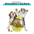 【CITY STAR】寵物趣味益智不倒翁漏食球(漏食球/寵物益智玩具)