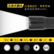 【特力屋】kinyo LED-6135 電池式P50高亮度手電筒