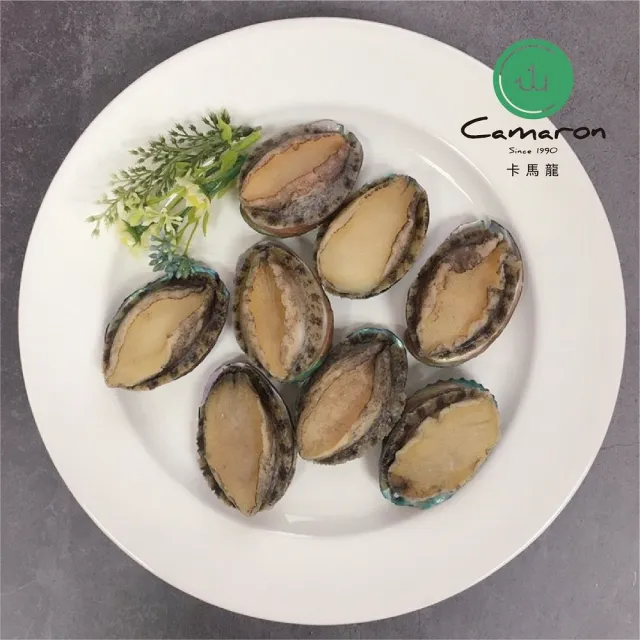 【Camaron 卡馬龍】頂級外銷級活凍帶殼鮑魚3入組(500公克/約10顆)