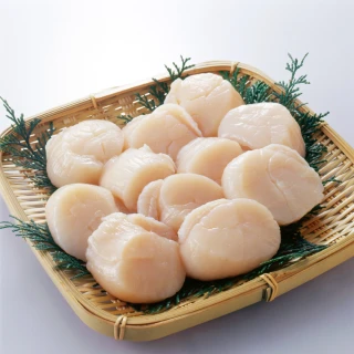 【Camaron 卡馬龍】北海道生食級干貝5入組(1公斤)