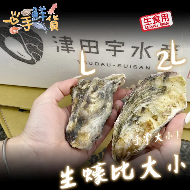 【一手鮮貨】日本室津原裝生食級牡蠣_2L(20顆組/2L生食級/一年生/生蠔)