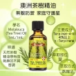 【Ausgarden 澳維花園】薰衣草、薄荷、尤加利、茶樹精油各50ml組合(提升活力 無憂靈淨四大組)