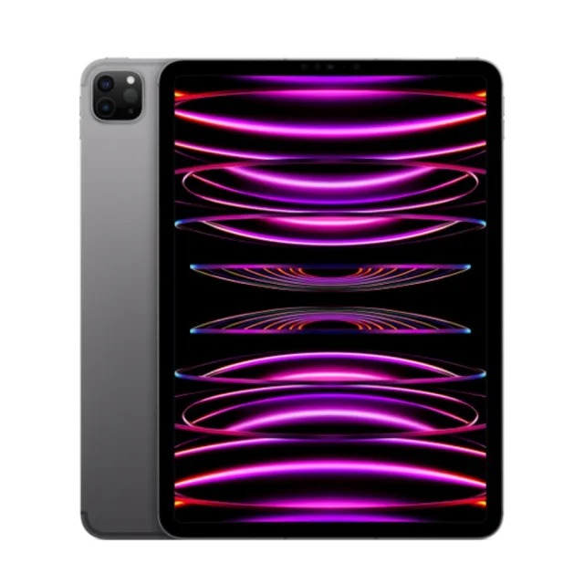 Apple】2022 iPad Pro 11吋/WiFi/256G(Apple Pencil II組) - momo購物