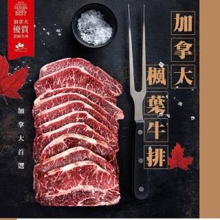 【好神】JBS加拿大Top38幸運牧場穀飼霜降牛排10片組(100g/片)