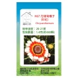 【蔬菜工坊】H67.花環菊種子(彩紅)