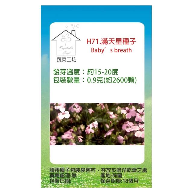 【蔬菜工坊】H71.滿天星種子(小花.艷紅)