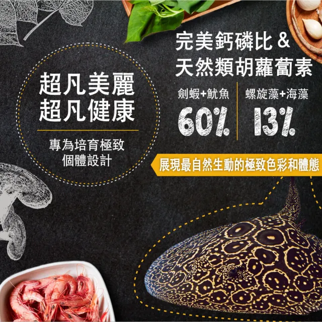 【鮮蝦食譜】超挑嘴肉食底棲熱帶魚-全營養鮮嫩魷魚蝦肉派330ml(狗頭 異形飼料 鼠魚飼料 底棲魚飼料)