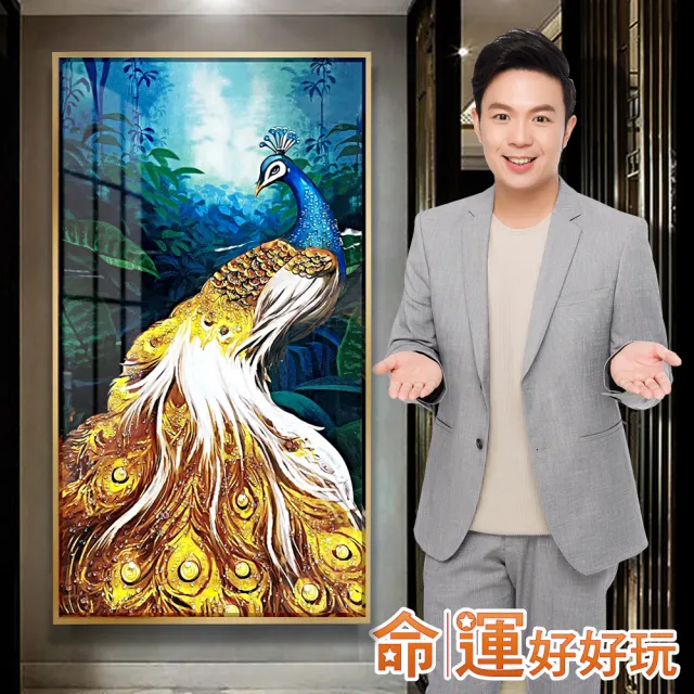 【命運好好玩】湯鎮瑋-錢程似錦孔雀晶鑽畫（其他規格）