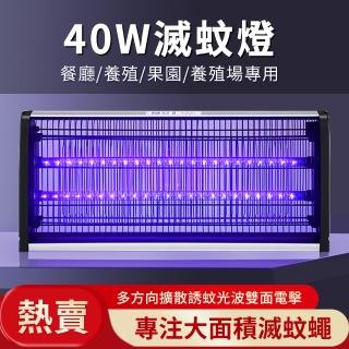 電擊式捕蚊燈 蚊蠅誘滅器(40W/物理光誘捕/商用餐廳滅蚊燈/可懸掛)