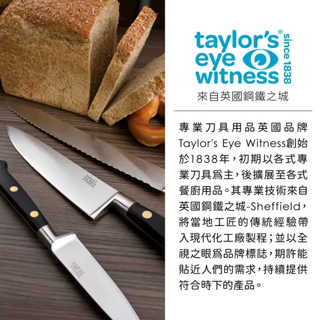 【TaylorsEye】矽膠醬料刷 肉桂紅21cm(油刷 料理刷 烤肉刷)