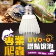 【ISTA 伊士達】專業爬蟲UVA+UVB 增豔燈泡 雨林型5.0/5W