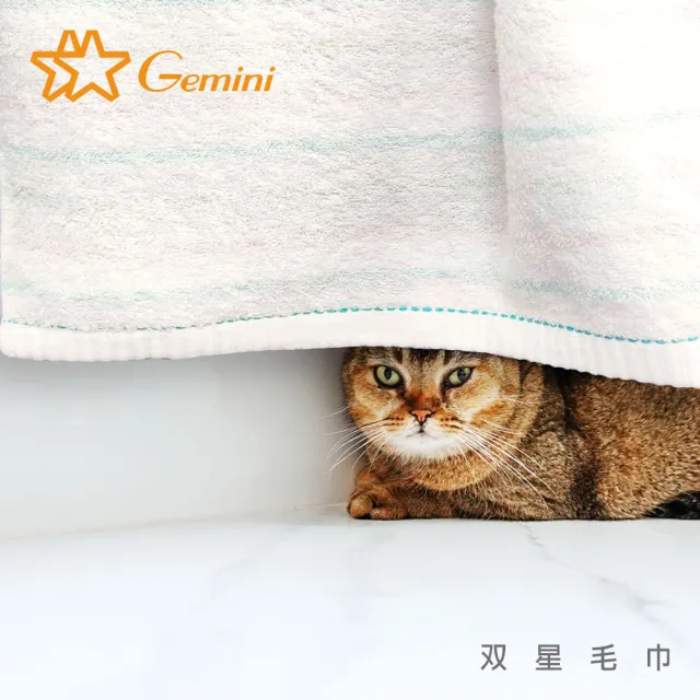 【Gemini 雙星】精梳棉粉彩條紋系列(毛巾超值二入組)