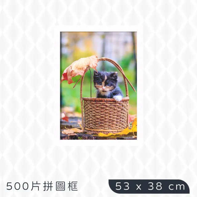 【TRENY】500片拼圖框53x38cm-白