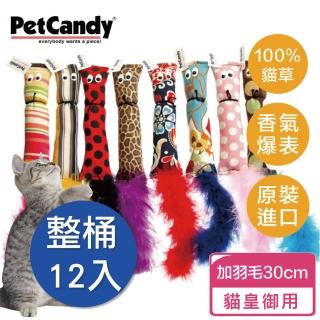 【神喵嚐百草】加拿大特濃安心貓草玩具 松鼠整桶裝12入(無農藥種植貓草、貓薄荷、美國手工縫製)
