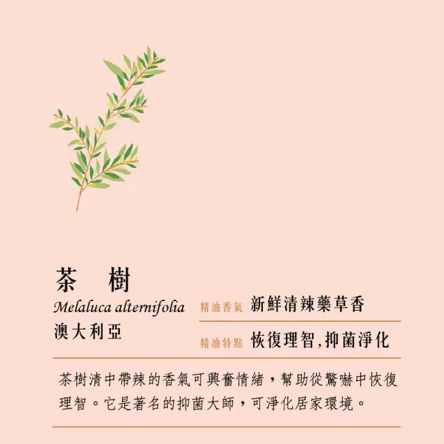 【愛爾蘭-自然之事】100%茶樹單方純精油12ml-新鮮清辣香氣(抑菌淨化☆居家護理☆家事幫手)