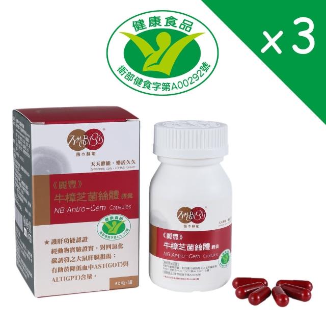 【麗豐】牛樟芝菌絲體膠囊X3盒-健康食品認證-60粒/盒(樟芝膠囊)