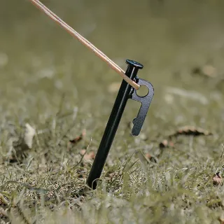 【LIFECODE】特粗鋼材地釘20cm-黑色(10支)