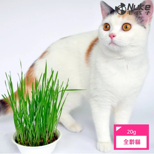 【Nuke 毛核子】DIY貓草植栽組速菜2入一組(貓草種植組兩入一組)