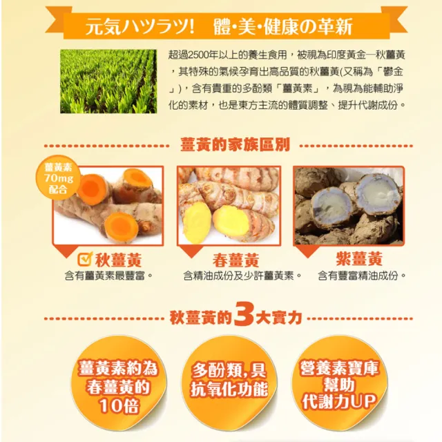 【Hegao 漢科】暢快甘秋薑黃錠狀食品 300粒/盒