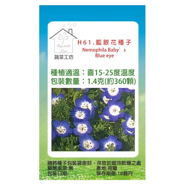 【蔬菜工坊】H61.藍眼花種子(藍龍)
