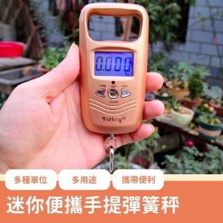 【旅行幫手】迷你便攜手提彈簧秤-50kg(香檳金 精準 秤重 吊秤 手提秤 迷你秤 電子行李秤 釣魚秤)