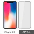 【YADI】iPhone XR 高清透滿版鋼化玻璃保護貼(9H硬度/電鍍防指紋/CNC成型/AGC原廠玻璃-黑)