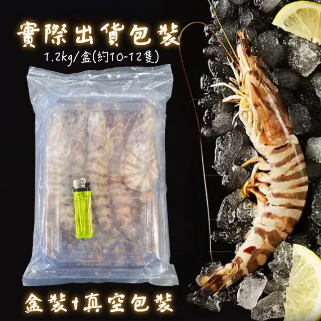 【一手鮮貨】澎湖野生特級大明蝦2XL(10-12隻/1.2kg/真空包裝)