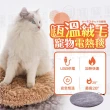 USB充電寵物電熱毯(恆溫/防水/小型取暖器)