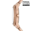 【FOSSIL 官方旗艦館】Stella Sport 多功能環鑽棕面女錶 玫瑰金色不鏽鋼鍊帶 指針手錶 37MM ES5109