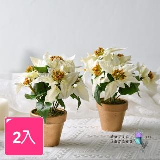 【Meric Garden】高模擬臺灣手工限定雪白聖誕紅小盆栽 2入一組(聖誕節 聖誕佈置 聖誕紅 節慶擺飾)