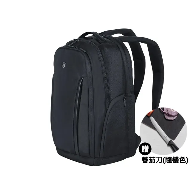 【VICTORINOX 瑞士維氏】Altmont Professional Essentials 電腦後背包/黑(602154)