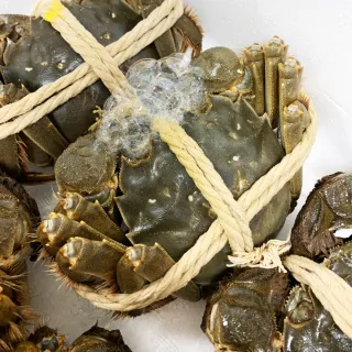 【RealShop】正宗活體江蘇公蟹紅膏大閘蟹A級 30隻入(每隻約5-5.6兩 不含繩重 死蟹包換 真食材本舖)