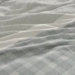 【織眠家族】60支100%天絲七件式床罩組 青青格紋(加大)