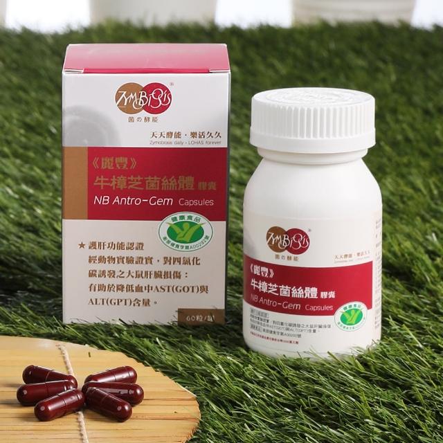 【麗豐】牛樟芝菌絲體膠囊-60粒/盒(健康食品認證)