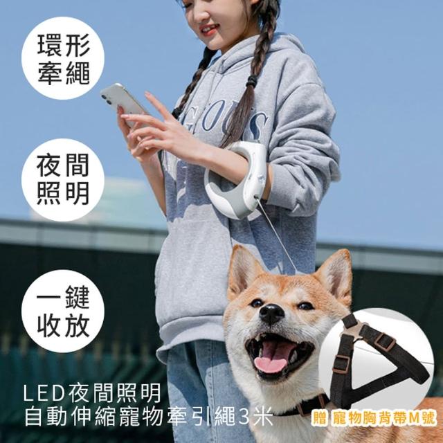 【J HOME】流光LED手電筒寵物牽繩 3m繩長贈胸背帶(牽引繩 遛狗繩 伸縮牽引 夜間照明)