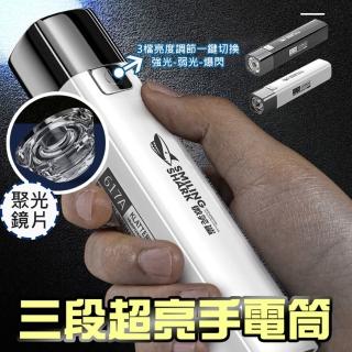 【ROYAL LIFE】USB充電迷你三段超亮手電筒-2入組(三段亮調 強光手電筒 USB充電 便攜手電筒)