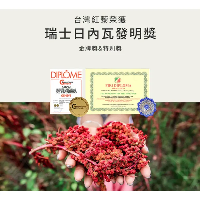 【Vimi 薇迷】膠原彈性蛋白肽飲5盒(50mlX8瓶/盒/共40瓶)