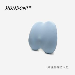 【HONDONI】新款5D護腰靠墊 記憶靠墊 居家背墊 汽車舒壓腰靠墊(天空藍)