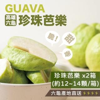 【e果園】高雄六龜珍珠芭樂中大果-10臺斤/箱x2箱(每箱約12-14顆x2箱/產地直送)