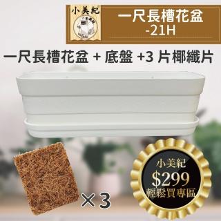 【小美紀】1尺長槽花盆+水盤+3片椰纖片(1尺盆 1尺花盆 室內花盆 1尺花架 多肉盆 小花盆)