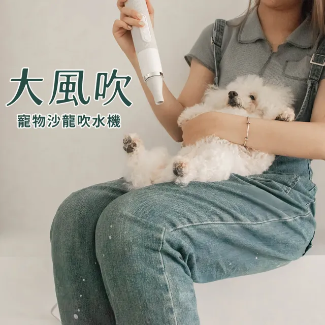 【uah有哈】大風吹-寵物沙龍吹水機/吹風機 狗狗吹毛 寵物吹乾快乾 寵物美容吹毛機